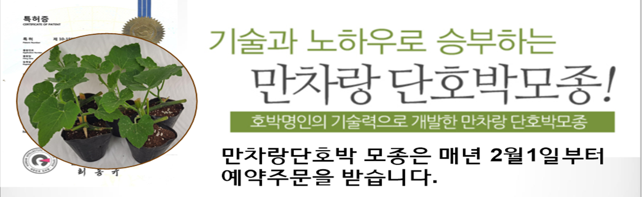 만차랑단호박 모종 예약베너